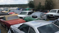В Румъния дават 1300 лв за бракуван стар автомобил