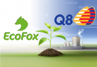Кувейтската петролна компания Q8 ще купи 50% от италианския производител на биодизел EcoFox