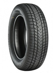 GRIPMAX SUREGRIP EWINTER XL 235/45 R17 97V