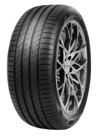 DELINTE DS2 SUV 255/45 R20 105W