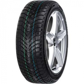 NEOLIN NeoWinter 225/55 R16 99H