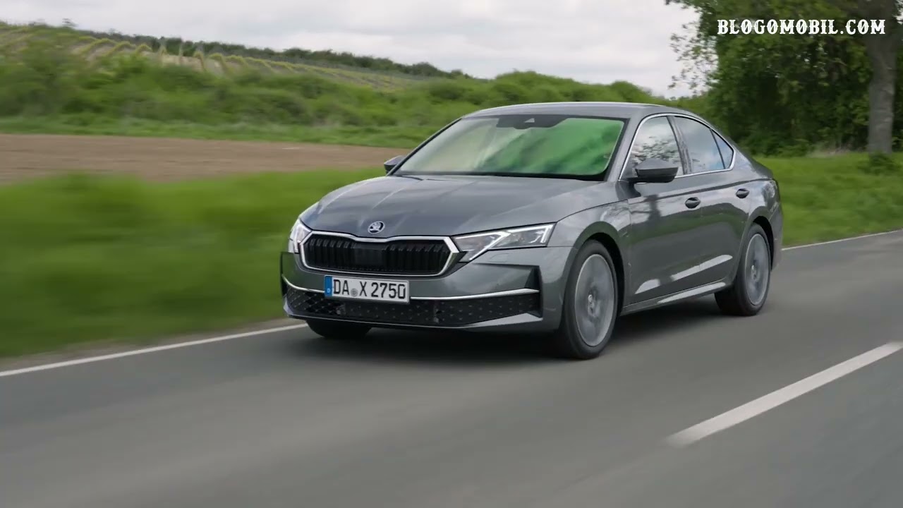 Test drive Skoda Octavia 2024